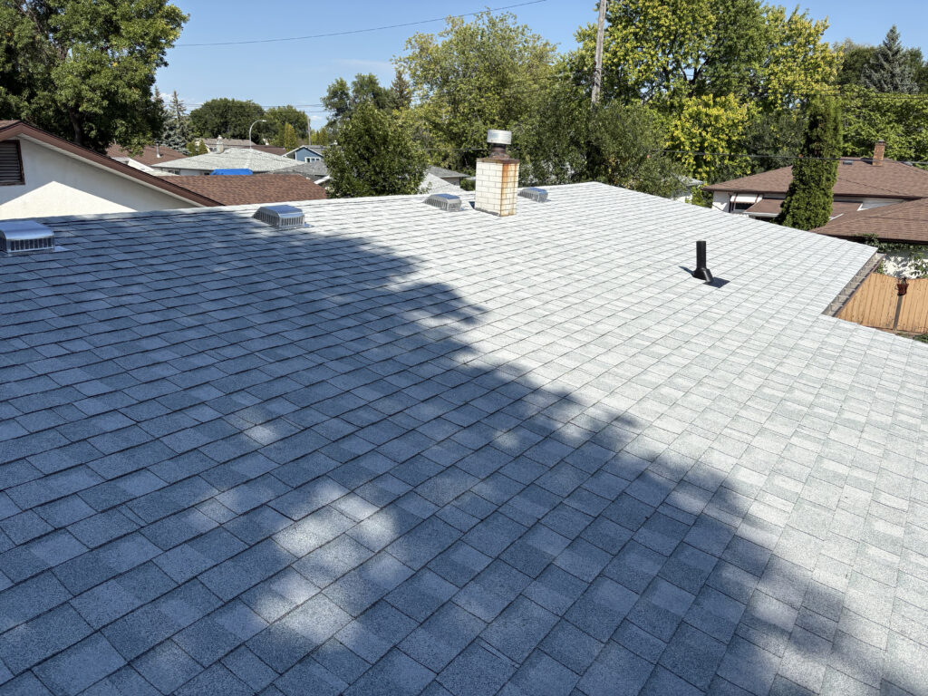 Residential Shingles - Silver Birch